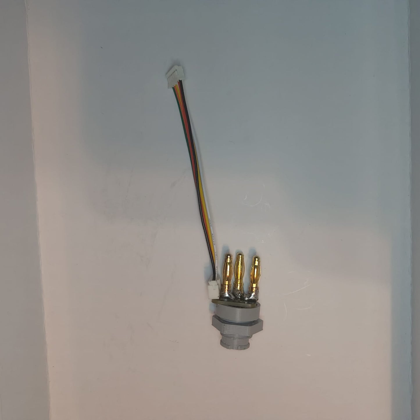 WhatsApp Image 2023-08-15 at 11.53.34 AM