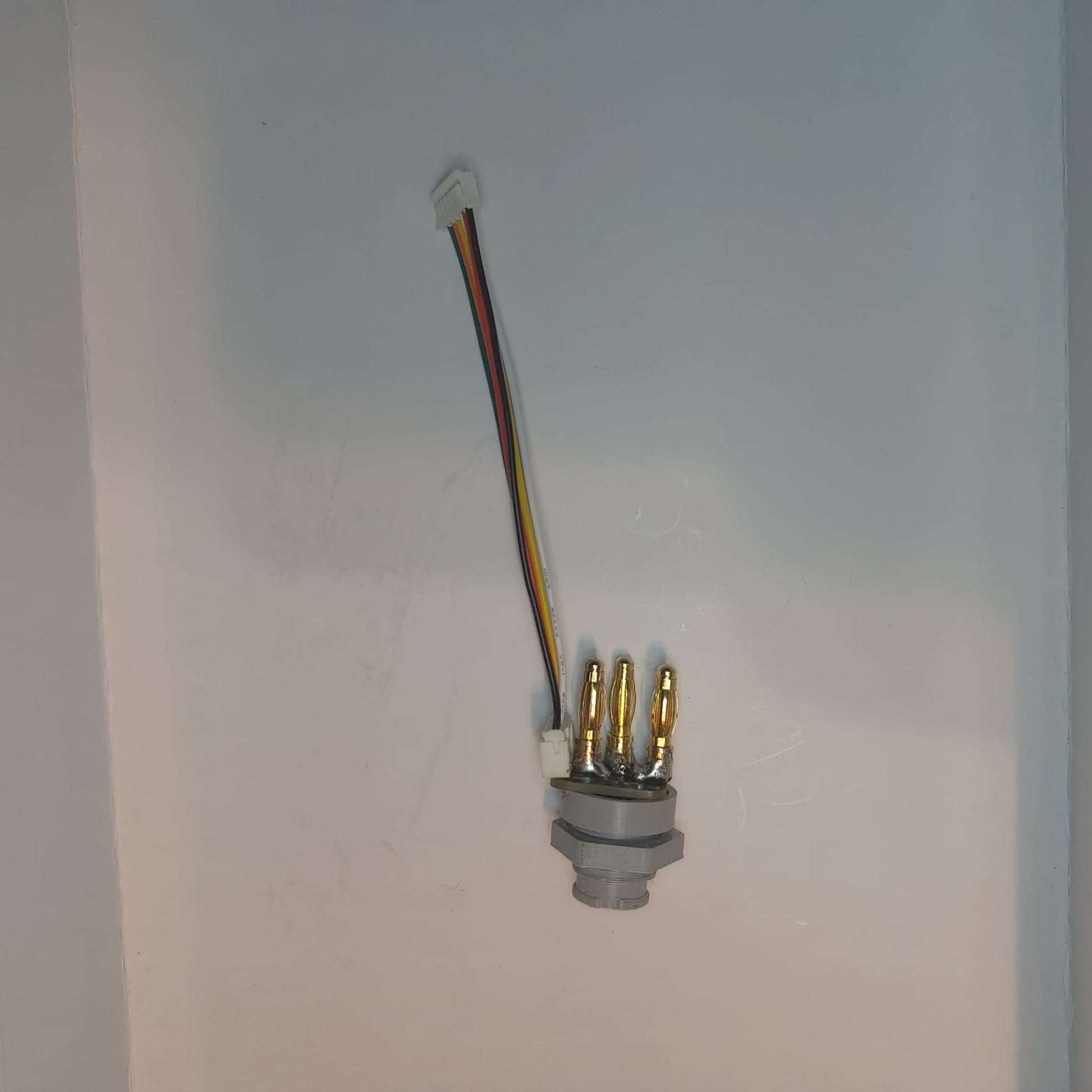 WhatsApp Image 2023-08-15 at 11.53.34 AM