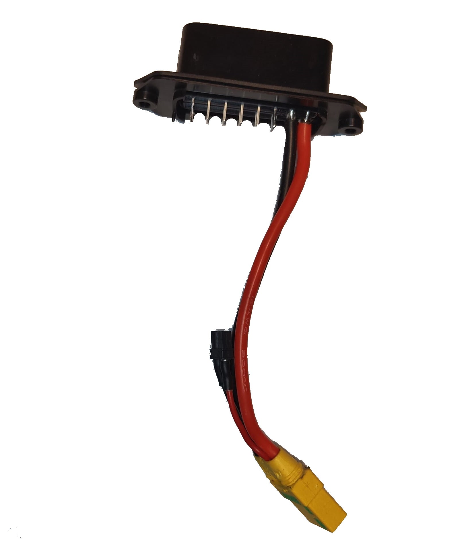 WhatsApp Image 2023-10-01 at 4.19.03 PM (1)