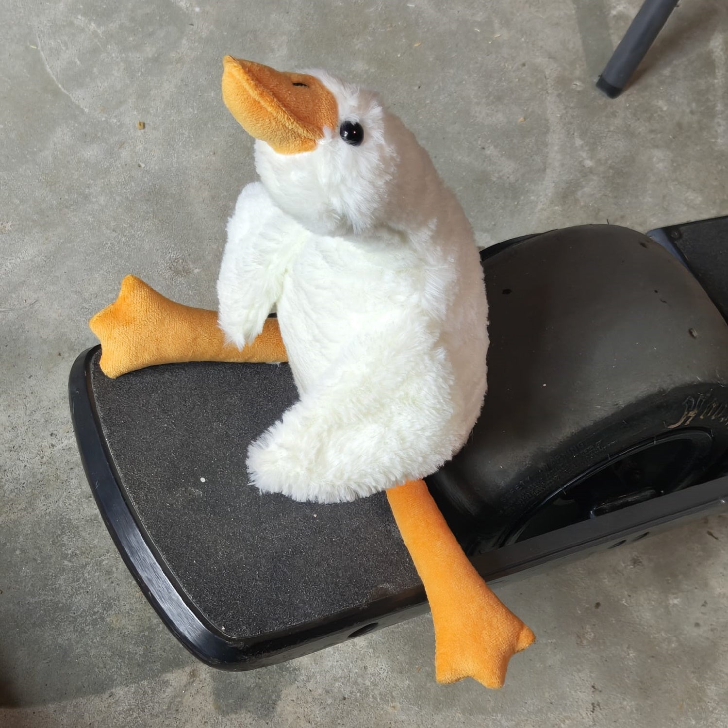 WhatsApp Image 2024-03-16 at 12.30.32 PM (2)